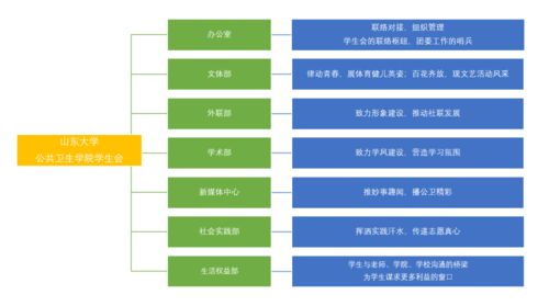 大學(xué)有哪些部門及職能 (大學(xué)有哪些職能部門 )