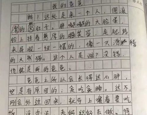 有關(guān)父親的作文開(kāi)頭