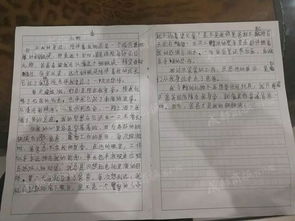 禮物是書(shū)的作文600字作文開(kāi)頭