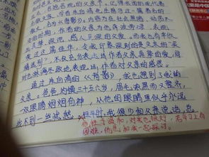 雨中的父親作文開頭100字