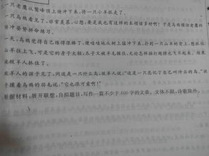 作文,開頭,想象