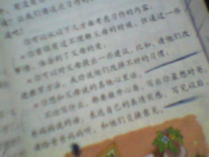 有關(guān)于父母之愛的作文開頭