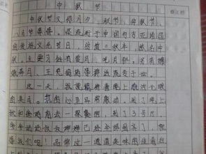 下雨中秋節(jié)的作文開頭結尾