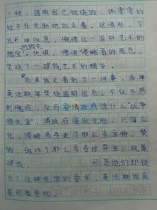 作文這樣的人讓我嘆息開頭