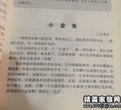 人和鳥的趣事作文開頭