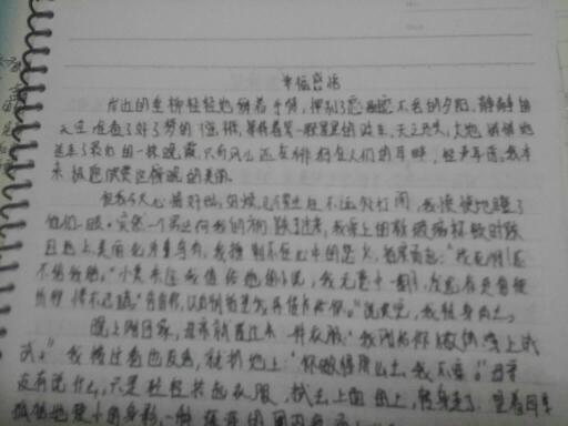 描寫(xiě)真實(shí)情感的作文怎么寫(xiě),關(guān)于情感的開(kāi)頭和結(jié)尾作文怎么寫(xiě),情感的作文怎么寫(xiě)