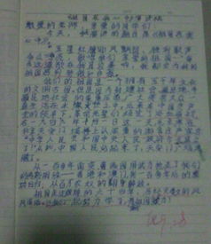 六級(jí)我得到的幫助的作文開(kāi)頭