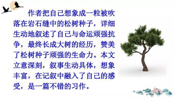 變形記的作文六年級(jí)開(kāi)頭結(jié)尾,變形記作文小學(xué)六年級(jí)開(kāi)頭結(jié)尾,變形記作文六年級(jí)路燈