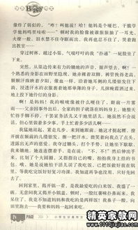 描寫(xiě)運(yùn)動(dòng)會(huì)的精彩作文開(kāi)頭