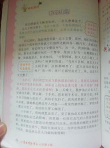 以我的理想為題寫作文開(kāi)頭
