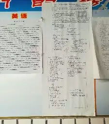 回訪母校總結(jié)范文(母?；卦L實(shí)踐總結(jié))
