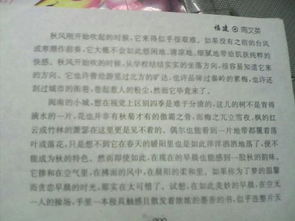 寫人記事開頭100字的作文四級(jí)