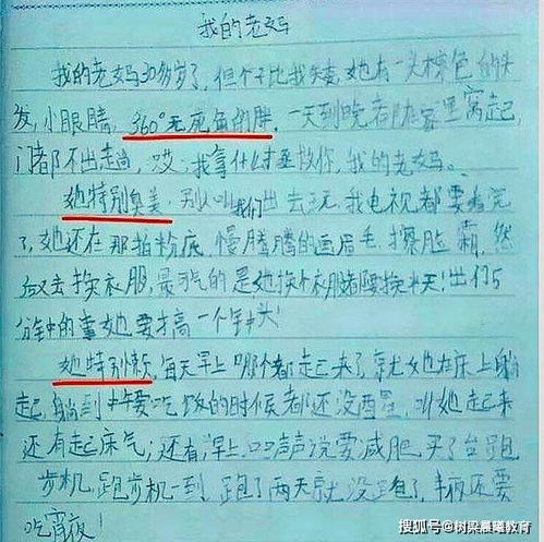 運(yùn)用比喻開頭的作文80字