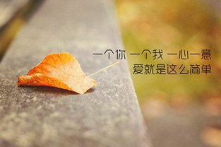 不忘初心,不忘厚愛愛情散文(不忘初心愛情散文)