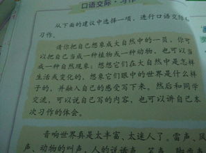 有字動物作文開頭和結(jié)尾怎么寫