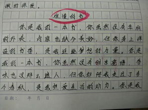 寫一封信的作文的開頭
