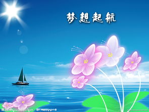 小學生夢想英語演講稿(夢想英語演講稿)