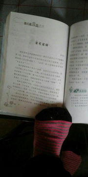 關(guān)于動(dòng)物的作文600字高中作文開(kāi)頭