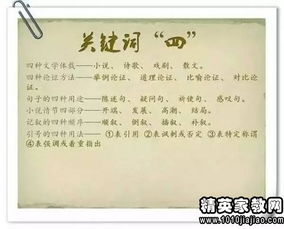 初三語(yǔ)文優(yōu)秀教師述職報(bào)告(高中語(yǔ)文優(yōu)秀教師述職報(bào)告（精選）)