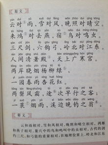 我經(jīng)歷的第一次選擇作文600字作文開(kāi)頭