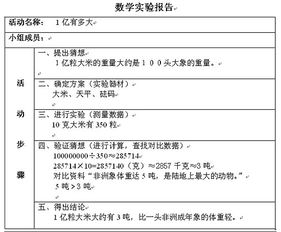 實(shí)驗(yàn)報告總結(jié)(實(shí)驗(yàn)報告總結(jié))