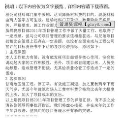 醫(yī)院項目部經理的述職報告()