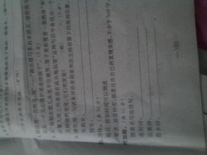 關于如果時間可以倒流的作文開頭