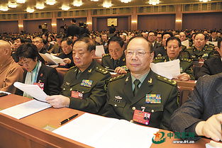 政協(xié)委員個人履職報告(政協(xié)委員個人履職總結)