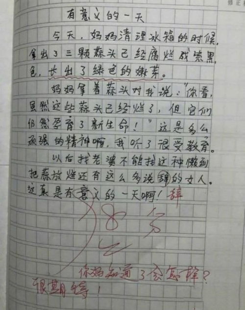 我的小老師500字作文開(kāi)頭結(jié)尾