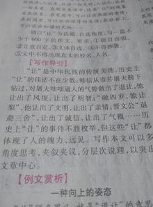 我與文明相遇作文開頭結(jié)尾