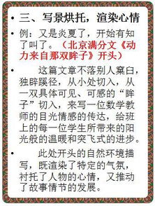 我學(xué)會(huì)了7什么作文開頭