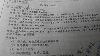 論原則作文800字作文議論文作文開頭