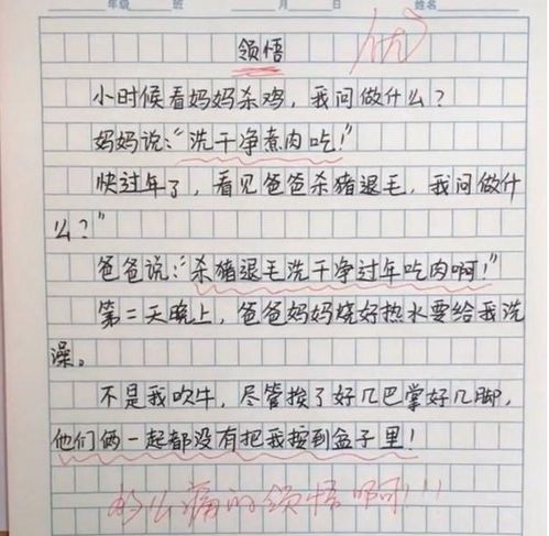 真沒想到要畢業(yè)了450作文開頭