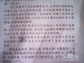 關(guān)于最的作文開頭結(jié)尾怎么寫
