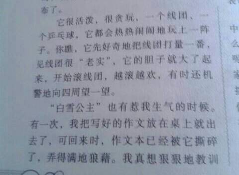 可愛的她開頭作文開頭