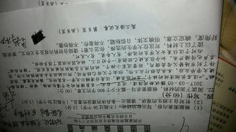 有一種努力叫堅(jiān)持作文開頭