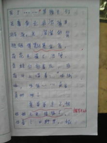 四級第六單元作文開頭怎么寫