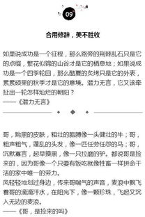 用4種句子寫作文開(kāi)頭100字