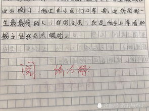 我的父親是一個(gè)好老師作文開頭結(jié)尾