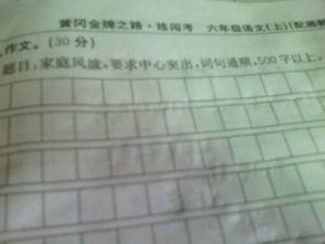 家庭風(fēng)波級(jí)作文開頭