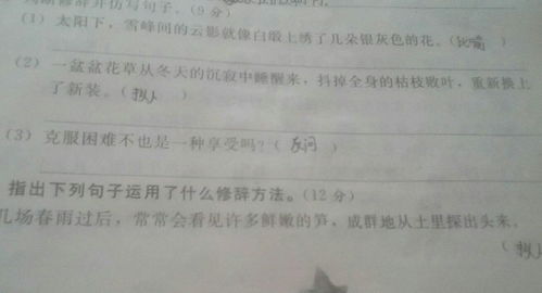 四級(jí)語(yǔ)文根據(jù)句子開(kāi)頭寫(xiě)作文