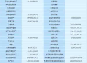 財(cái)務(wù)分析報(bào)告利潤表(財(cái)務(wù)分析報(bào)告模板)