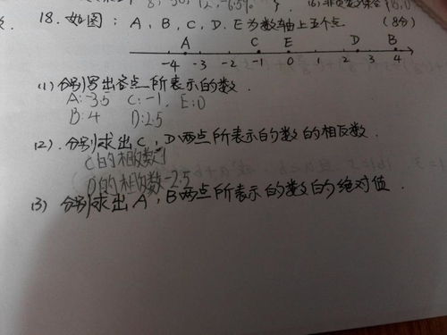 我學(xué)會了什么的做600字作文開頭