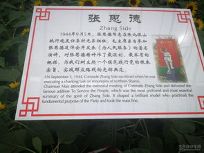 逛農(nóng)博會作文開頭