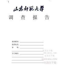 社會實踐成果報告()