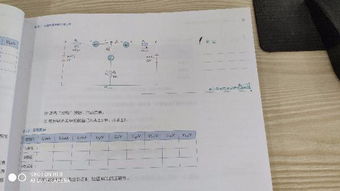 大學(xué)電路實(shí)驗(yàn)報(bào)告(電路實(shí)驗(yàn)報(bào)告要求)