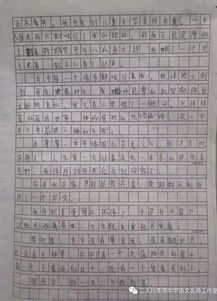 那一天我與你相遇五百字作文開頭
