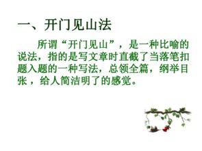 作文開頭的寫法指導課
