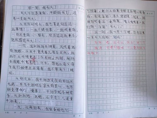 作文,五級,開頭,長大了