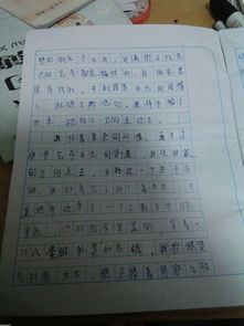 想起這件事我真感動作文600字作文開頭